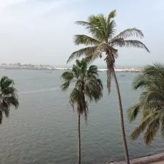 Depuis la terrasse du CRDS, le fleuve Sénégal... © Arnaud Galy - Agora francophone internationale
