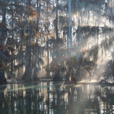 Grand angle LOUISIANE / Ph : Flickr - Roberto Marchegiani