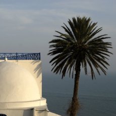 Rondeurs (Sidi Bou Saïd)