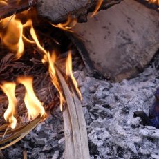 Bientôt la pause dans la palmeraie (Tozeur)