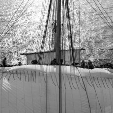 FRANCOPHONIE - L'Hermione vogue sous pavillon « Libres ensemble (...)