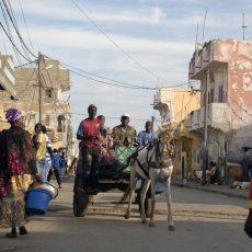 SÉNÉGAL - Balade dans Saint-Louis