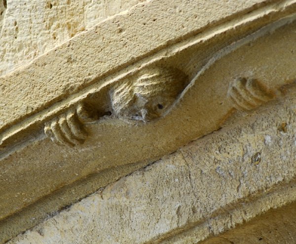 Le Curieux de Conques - © Arnaud Galy - Agora francophone